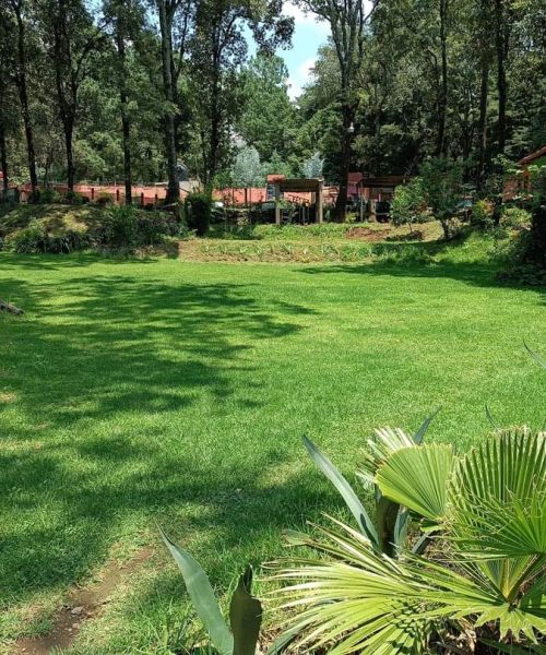jardin3